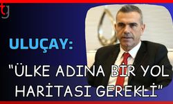 Uluçay: "Ülke adına bir yol haritası gerekli”