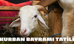 Kurban Bayramı tatili uzatılmadı!