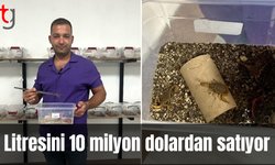 İnternette görerek başladı: Litresini 10 milyon dolardan satıyor