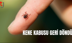 Kene kabusu geri döndü: 5 kişi hayatını kaybetti