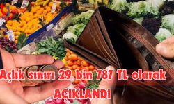 Açlık sınırı 29 bin 787 TL olarak açıklandı