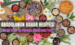 Anadolu’nun Bahar Hediyesi: Doğal Otlar ve Yöresel Kültürdeki Yeri