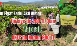 Üzümden daha çok kazandırıyor!