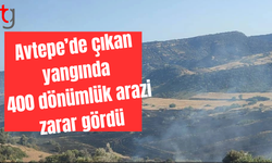 Avtepe’de çıkan yangında 400 dönümlük arazi zarar gördü
