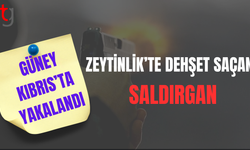 Silahlı saldırı zanlısı Güney'de yakalandı!