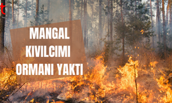 Mersinlik Göleti yakınlarında yangın