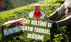 Çayın Tarihsel Gelişimi ve Çay Kültürü