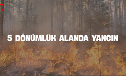 TUZLA’DA 5 DÖNÜMLÜK ALANDA YANGIN