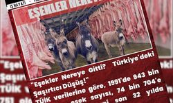 manşet