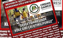 manşet