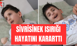 Sivrisinek ısırığı 8 yaşındaki Mehmet Emir'in hayatını kararttı