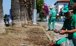 Milas Belediyesi, Güllük’te çalışmaları hızlandırıyor