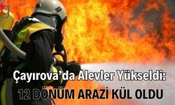 Çayırova’da Alevler Yükseldi: 12 Dönüm Arazi Kül Oldu