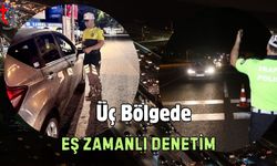 Üç Bölgede Eş zamanlı Denetim