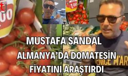 Mustafa Sandal Almanya'da domatesin fiyatını araştırdı