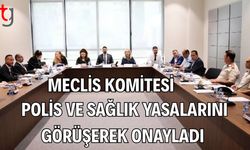 Meclis Komitesi Polis ve Sağlık Yasalarını Görüşerek Onayladı