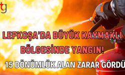 Lefkoşa’da Büyük Kaymaklı Bölgesinde Yangın: 15 Dönümlük Alan Zarar Gördü