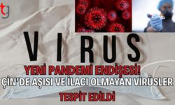 Yeni Pandemi Endişesi! Çin’de Aşısı ve İlacı Olmayan Virüsler Tespit Edİldi