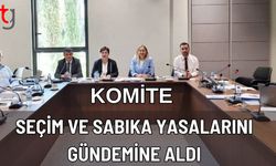 Komite Seçim ve Sabıka Yasalarını  Gündemine Aldı