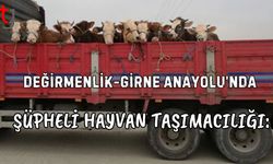 Değirmenlik-Girne Anayolu’nda Şüpheli Hayvan Taşımacılığı: