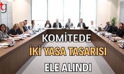 Komitede iki yasa tasarısı ele alındı
