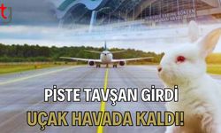 Piste Tavşan Girdi, Uçak Havada Kaldı!