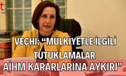 Veçhi: "Mülkiyetle ilgili tutuklamalar AİHM kararlarına aykırı"