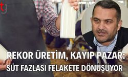 Rekor Üretim, Kayıp Pazar: Süt Fazlası Felakete Dönüşüyor