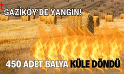 Gaziköy'de yangın! 450 adet balya küle döndü