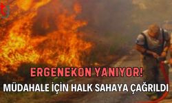 Ergenekon Yanıyor: Müdahale İçin Halk Sahaya Çağrıldı!