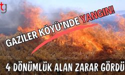 Gaziler Köyü’nde Yangın! 4 Dönümlük Alan Zarar Gördü