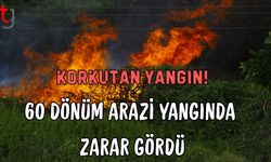 Korkutan Yangın! 60 Dönüm Arazi Yangında  Zarar Gördü
