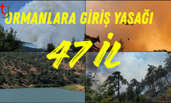 Türkiye'de 47 İlde Ormanlara Giriş Yasağı Başladı