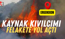 Ergenekon'daki Yangının Sebebi Belirlendi