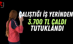Çalıştığı iş yerinin parasını çalan zanlı mahkemede