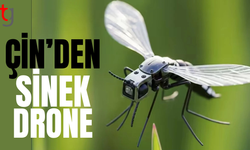 Nano-teknolojide devrim: Çin ordusu