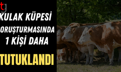 Kulak küpesi soruşturmasında bir kişi daha tutuklandı