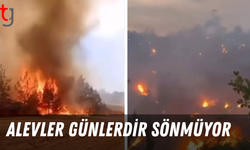 Ormanlar alevlere teslim oldu;Ekipler seferber oldu