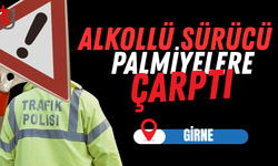 Girne’de Alkollü Sürücü Palmiyelere Çarptı
