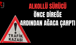 Alkollü Sürücü Direğe ve Ağaca Çarptı: Tutuklandı