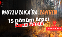 Mutluyaka'da 15 dönüm arazi zarar gördü