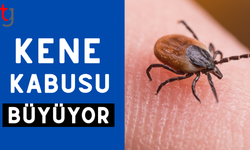 Kene kabusu büyüyor