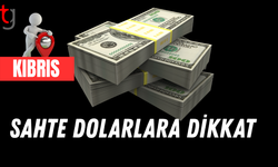 Sahte dolarları tedavüle süren kişi tutuklandı
