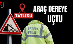 TATLISU’DA ARAÇ DEREYE UÇTU: SÜRÜCÜ YARALANDI