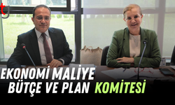 Ekonomi, Maliye, Bütçe ve Plan Komitesi