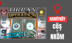 Hamitköy’de düzenlenen Tırpan Operasyonu