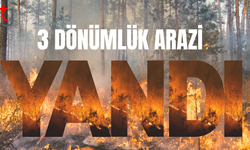 Düzce-İncirli köyleri arasında yangın