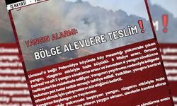 manşet
