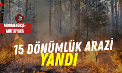 Mormenekşe-Mutluyaka köylerinde yangın