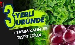 3 Yerli Üründe Tarım Kalıntısı Tespit Edildi